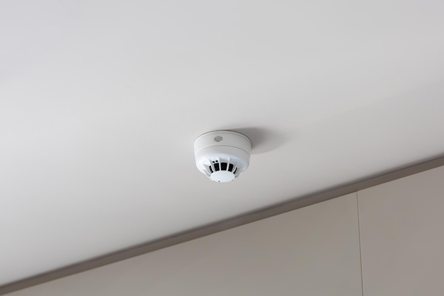 Blog 3 smoke detector